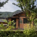 일산자두골마을 이미지