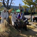 옛살비농장 이미지