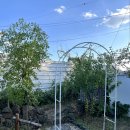 더스테이 132 | [경주감성한옥숙소] 둥굴스테이 ; 감성촌캉스 숙소로 추천!