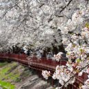 8군푸드 이미지