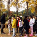 화양초등학교 이미지