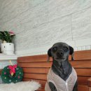 오구오구살롱 이미지