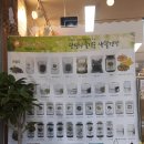 허브앤씨드