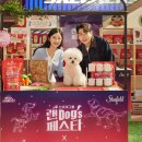 독스(Dog's) 이미지