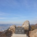 낙·두·동 이미지