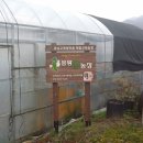 봉황한우농장 이미지