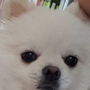 태연약국 이미지