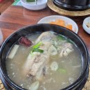 야탑골한방삼계탕 이미지