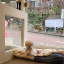 바다미용실 이미지