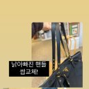 비니브로 이미지