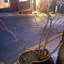 Invisible  이미지