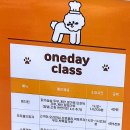 플레르룬 이미지