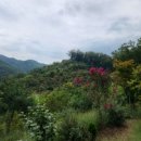 멍 때리는 전망대 이미지