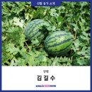 김길수 | [경기도 농어업소득 333 프로젝트 선발 농가 소개] 양평 김길수 농부