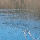 북한강강변길 이미지