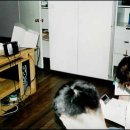 솔로몬어학원 이미지