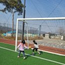 파평체육공원 축구장 이미지