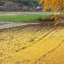 엘도라도 이미지