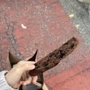 글룩베이커리 이미지