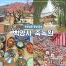 장성공원2 | 전남 장성 백양사 고불매 담양 죽녹원 아너드투어 국내당일여행