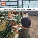 [제주아기랑체험] 제주 서귀포 아이와가볼만한곳 편백포레스트
