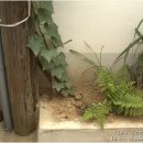 마실49 이미지