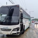 경북대로(수상동) 이미지