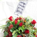 스타일큐브 이미지