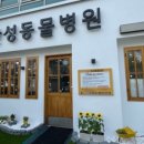 한성동물병원 이미지