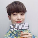 라운 이미지