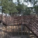 초안산 유아숲체험장 이미지