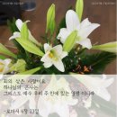 영생 이미지