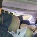 하동하늘숲캠핑장 이미지