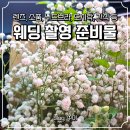 마음소풍 | 부천소풍웨딩홀 스튜디오 촬영 준비물 리스트 및 헤어 메이크업 후기