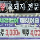 유황꿀돼지 이미지