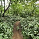 절물생태관리소 (절물자연휴양림) | 한라산 둘레길 8코스 절물조릿대길 3km, 9코스 숫모르 편백숲길 6.6km