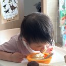 킴스약국 | 일상 탈출 아닌 탈출을 즐긴 자의 2박 3일 ◟(ˊ꒵ˋ∗)◜∗.♪
