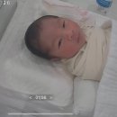 내일도 카롱 | 카롱탄생기 / 카롱탄생일부터 조리원퇴소까지