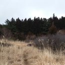 애월다래네 이미지