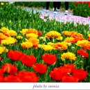 용비쉼터 이미지