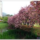 월곡역사공원 이미지