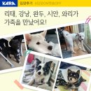 리태, 강낭, 완두, 시안, 와리가 가족을 만났어요!