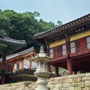 황금 행정사 사무소 이미지