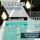 대구 근교 숙소 추천 청도브리즈힐 캠핑앤카라반