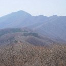 광덕상회 - 평택시 안중로100번길 23 | 광덕상회
