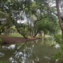 두리그루밍 | 2박 4일 방콕여행(3일차_룸피니공원, 차이나타운 맛집, 옥타브 루프탑바, 살롱드비타)