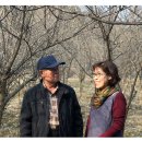 김병환농장 이미지