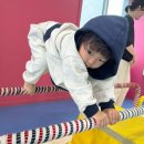 펀플렉스