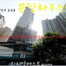 분당-202 Daum카페