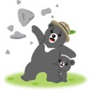 노블롱 이미지